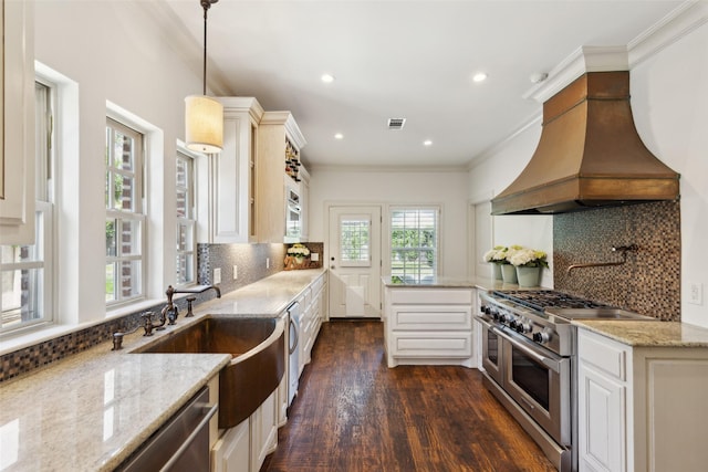 kitchen featuring premium range hood, decorative backsplash, crown molding, and stainless steel appliances