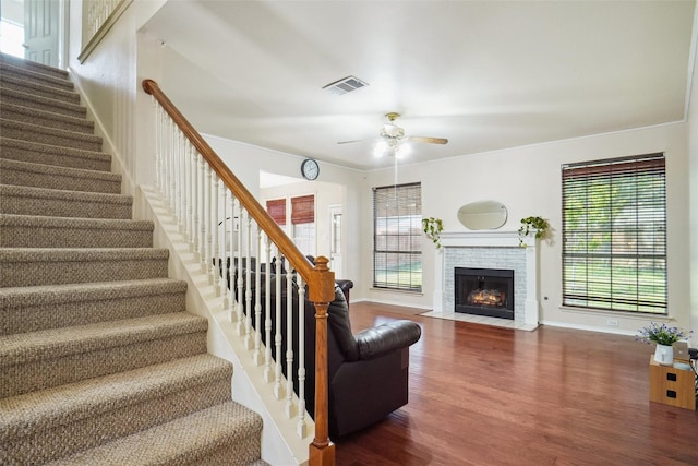 stairs with ceiling fan, a wealth of natural light, wood finished floors, and a fireplace