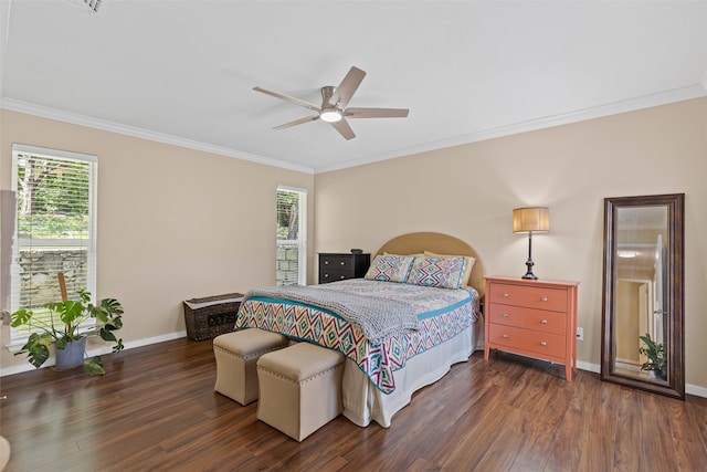 5008 Santa Elena Ct, Granbury, TX 76049 - bedroom with multiple windows, dark wood-type flooring, and crown molding