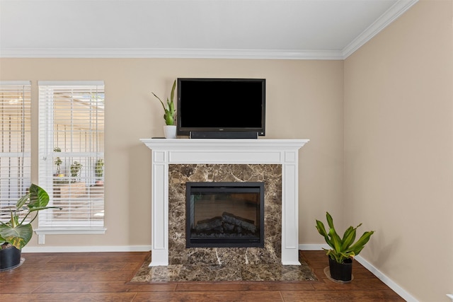 5008 Santa Elena Ct, Granbury, TX 76049 - room details featuring a high end fireplace, baseboards, ornamental molding, and wood finished floors