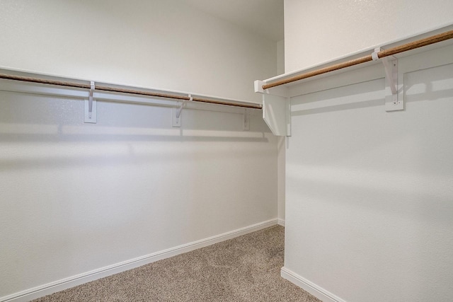 9625 Catclaw Ter, Fort Worth, TX 76036 - spacious closet featuring carpet floors