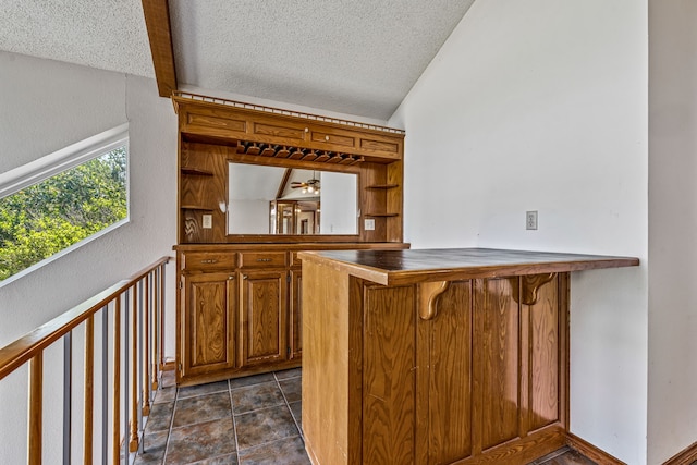 bar featuring vaulted ceiling, a textured ceiling, and ceiling fan