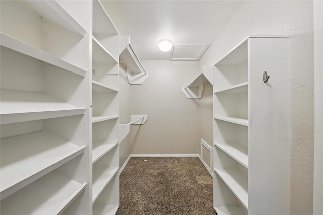 8104 Lea Shore St, Fort Worth, TX 76179 - walk in closet featuring carpet floors