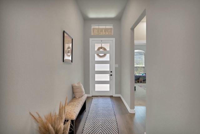 entrance foyer with baseboards and wood finished floors