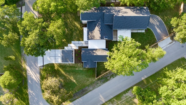 bird's eye view