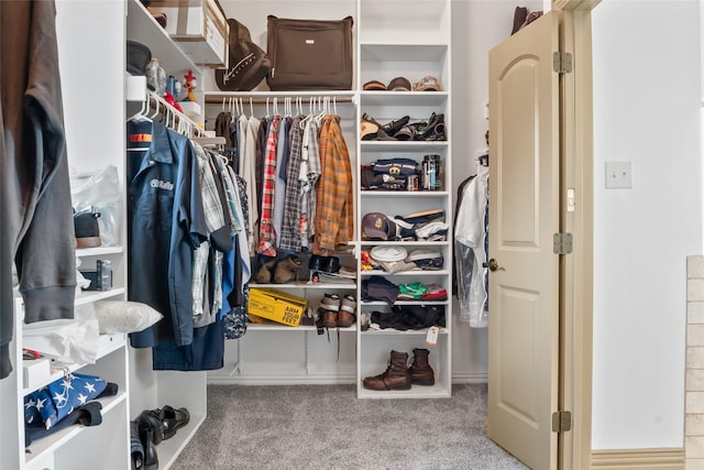 spacious closet featuring carpet floors