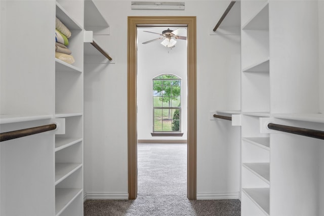 spacious closet featuring carpet flooring and a ceiling fan