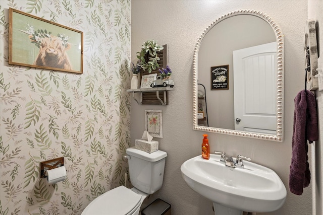 3912 Burks Ct, Celina, TX 75009 - bathroom with a sink and toilet