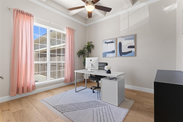 office featuring wood finished floors, baseboards, and ceiling fan