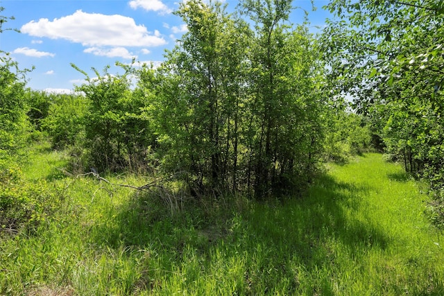 view of nature