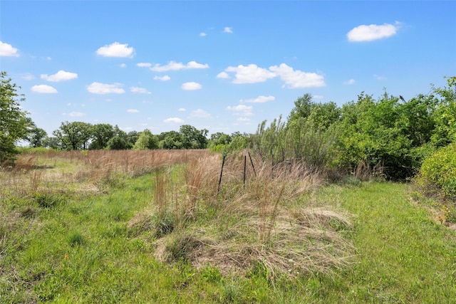 view of landscape