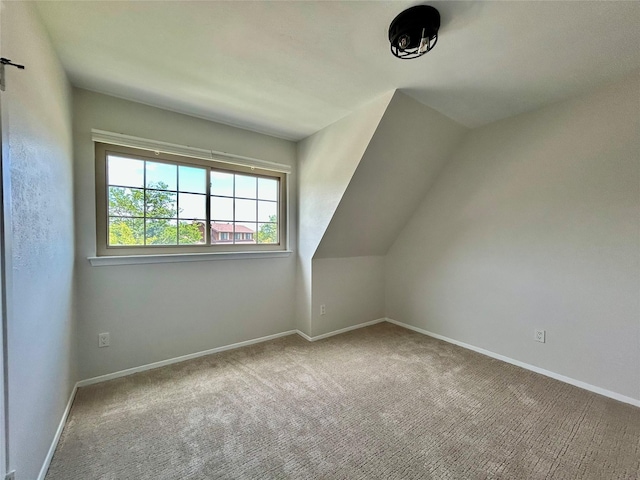bonus room featuring baseboards and carpet floors