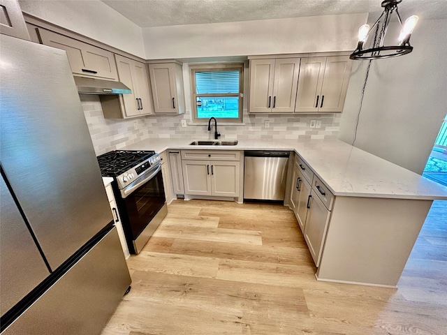 kitchen with under cabinet range hood, stainless steel appliances, a sink, light wood-type flooring, and decorative backsplash