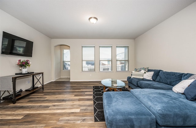 3412 San Lucas Ln, Denton, TX 76208 - living area with plenty of natural light, wood finished floors, arched walkways, and baseboards
