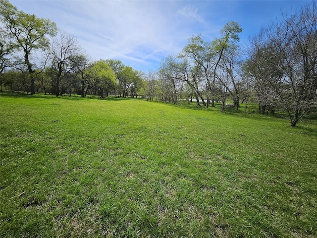 TBD123 Cameron Hl, Van Alstyne, TX 75495