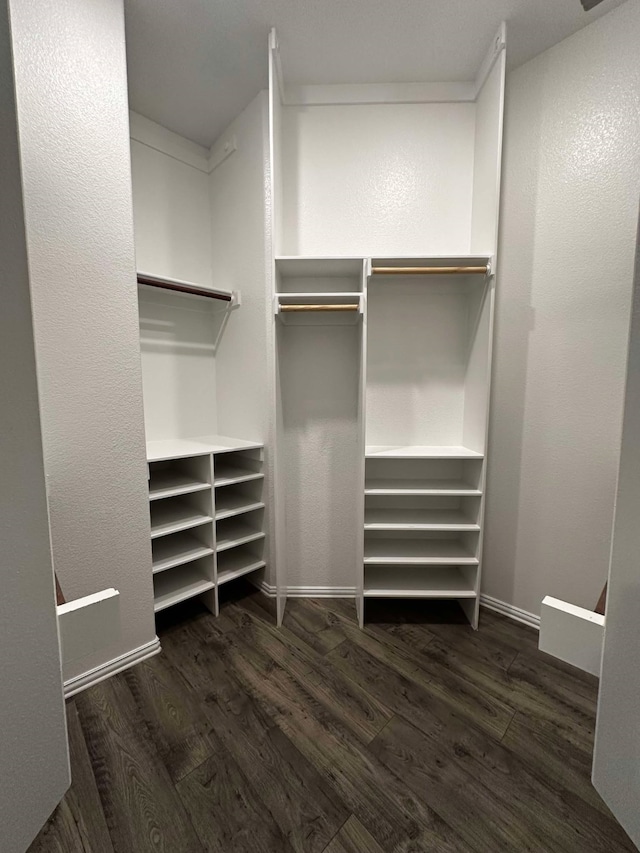 1217 Timber Grove Ter, Little Elm, TX 76227 - walk in closet featuring wood finished floors