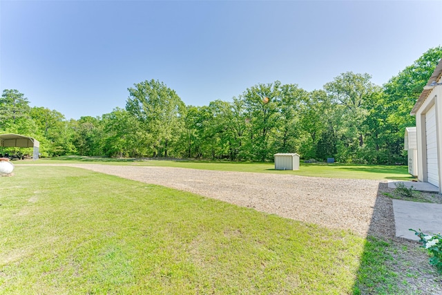 view of yard with an outdoor structure, a shed, and a detached carport