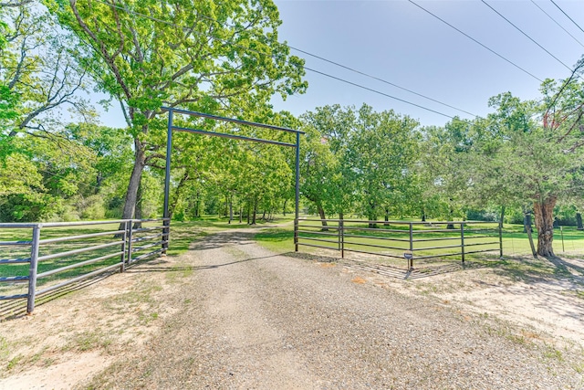 view of street with driveway, a gated entry, and a gate