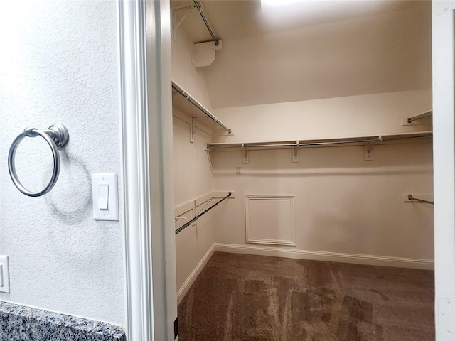 walk in closet featuring carpet flooring
