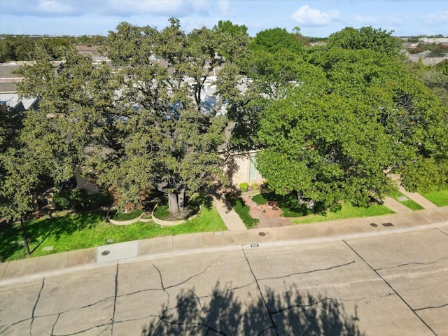 aerial view