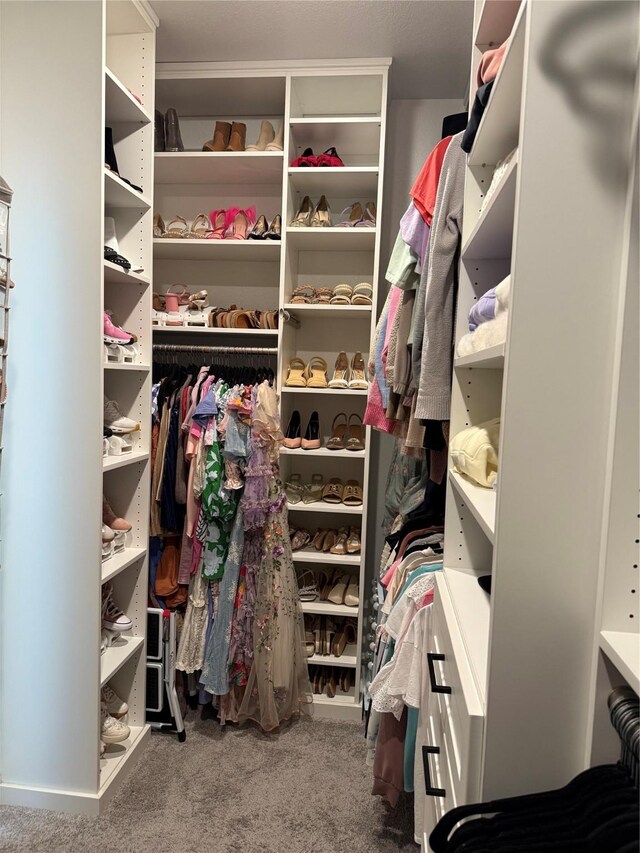 220 Glenwood Dr, Oak Point, TX 75068 - walk in closet with carpet