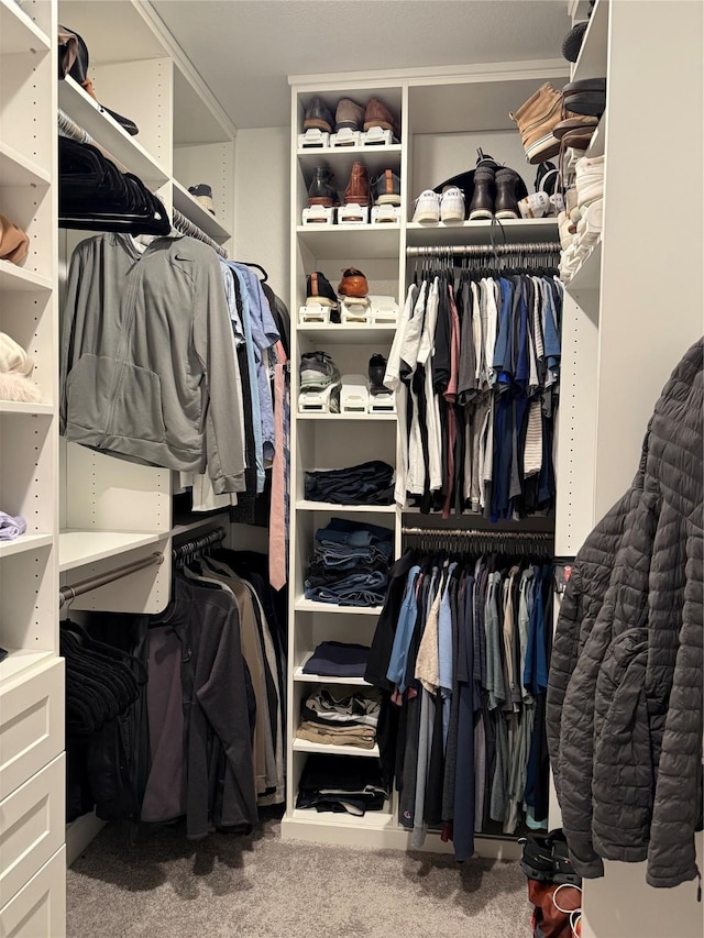 220 Glenwood Dr, Oak Point, TX 75068 - spacious closet featuring carpet