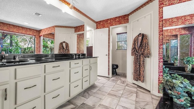 bathroom featuring a healthy amount of sunlight, a sink, a textured ceiling, and double vanity