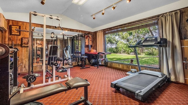 workout room featuring lofted ceiling, wood walls, carpet, and a textured ceiling