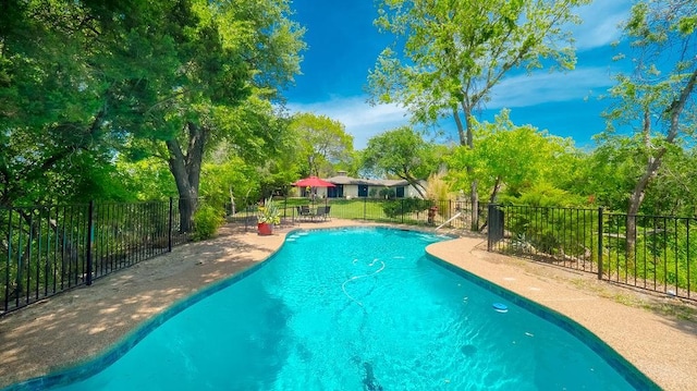 view of pool featuring fence, a patio area, and a fenced in pool