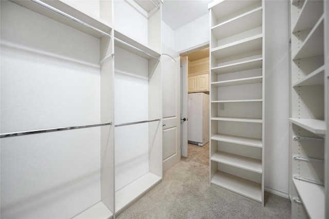 2905 White Dove Dr, Plano, TX 75093 - walk in closet with light colored carpet