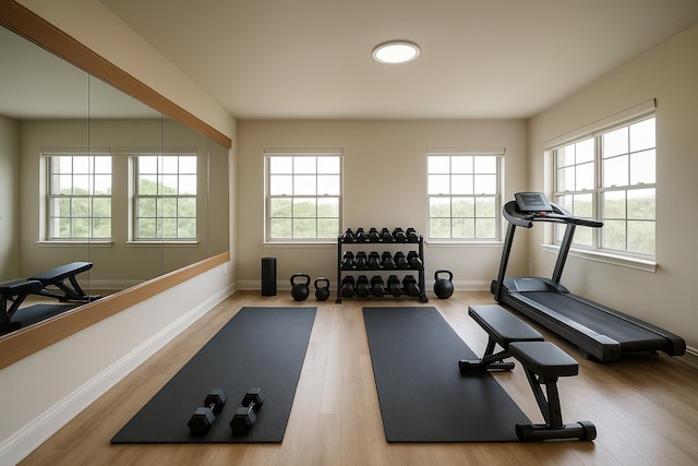 2905 White Dove Dr, Plano, TX 75093 - exercise room featuring wood finished floors and baseboards
