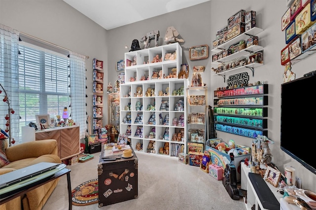 rec room featuring carpet floors