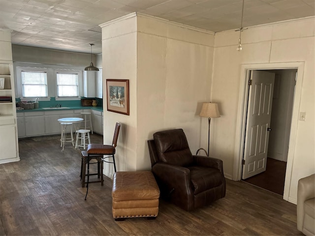 living area with dark wood-style flooring