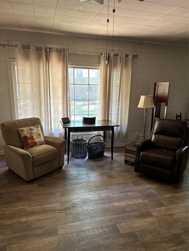 living area featuring dark wood-style flooring