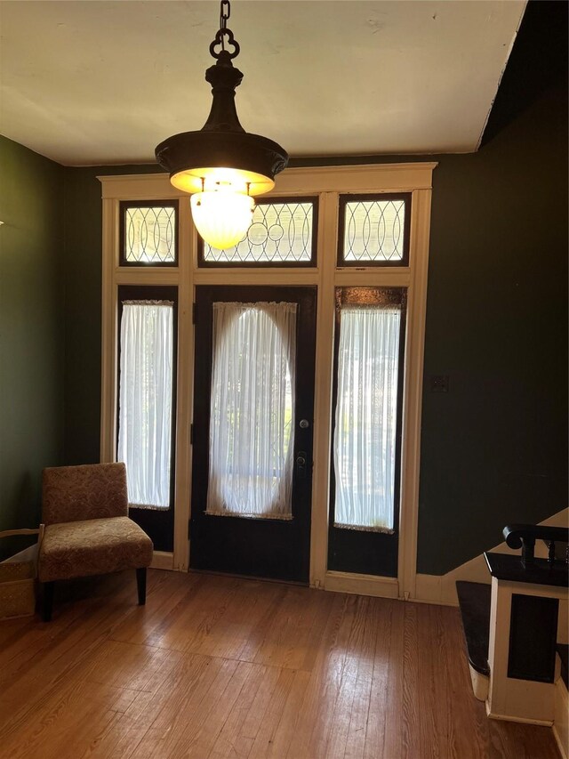 entrance foyer with hardwood / wood-style floors, baseboards, and plenty of natural light