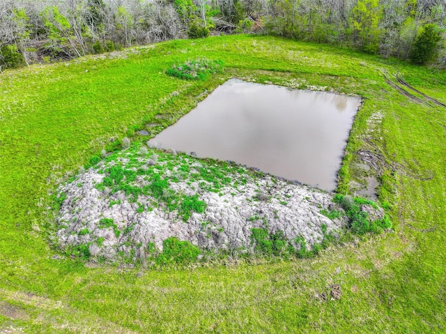 view of yard with a water view