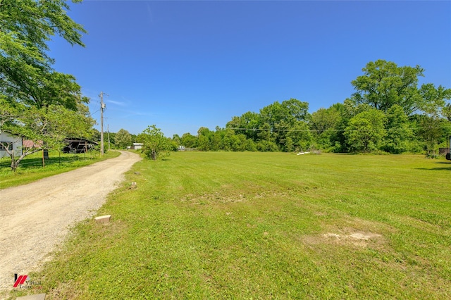 view of street with driveway