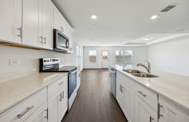 7108 Pederson Creek Way, Denton, TX 76208 - kitchen featuring stainless steel appliances, a sink, recessed lighting, white cabinets, and dark wood-style floors
