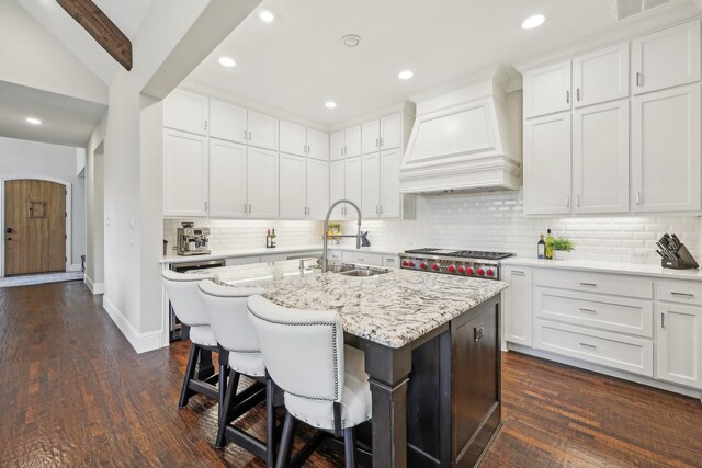 kitchen featuring decorative backsplash, a sink, premium range hood, stainless steel appliances, and recessed lighting