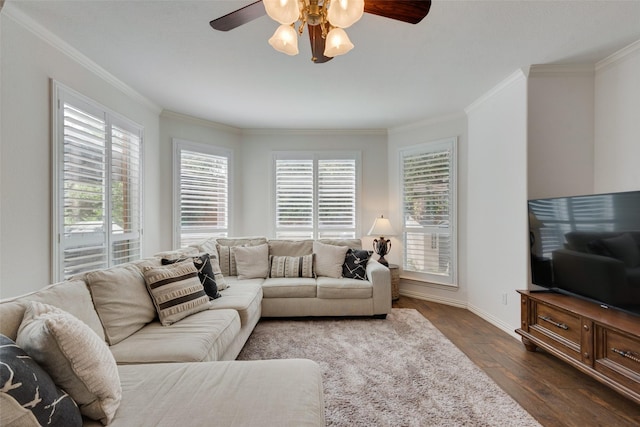 113 Bob White Ct, Rockwall, TX 75087 - living area with dark wood-type flooring, a ceiling fan, and ornamental molding