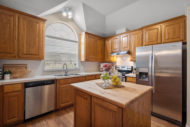 kitchen featuring under cabinet range hood, stainless steel appliances, vaulted ceiling, a sink, and wood counters