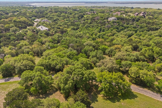 42068 Crooked Stick Dr, Whitney, TX 76692
