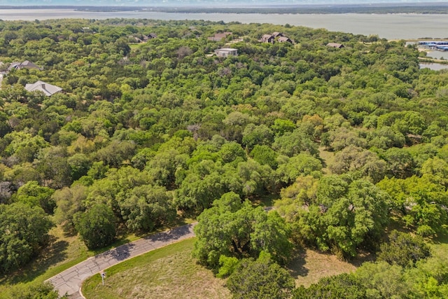 42068 Crooked Stick Dr, Whitney, TX 76692