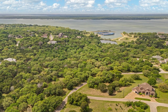 42068 Crooked Stick Dr, Whitney, TX 76692