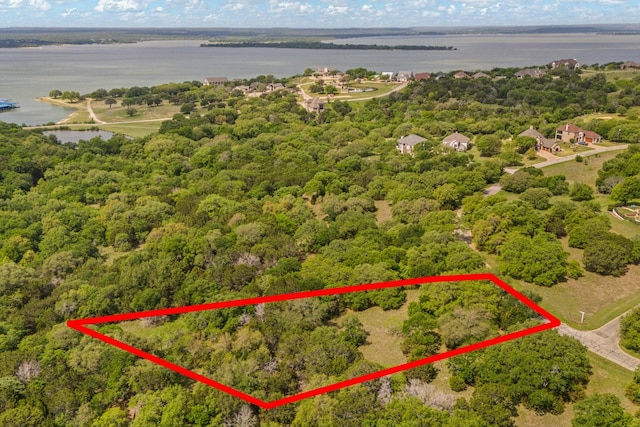 42068 Crooked Stick Dr, Whitney, TX 76692