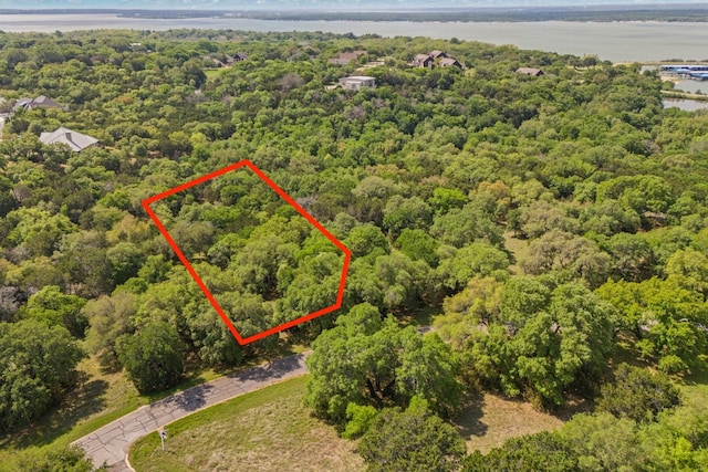 42068 Crooked Stick Dr, Whitney, TX 76692