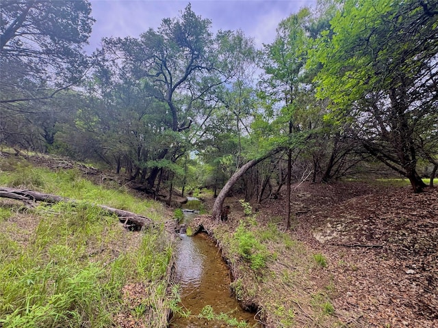 42068 Crooked Stick Dr, Whitney, TX 76692