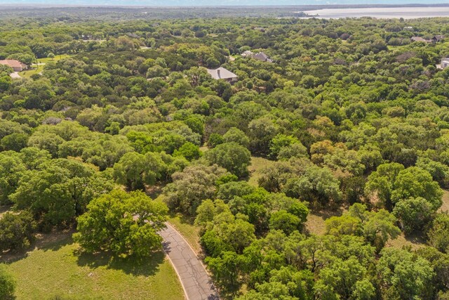 42068 Crooked Stick Dr, Whitney, TX 76692