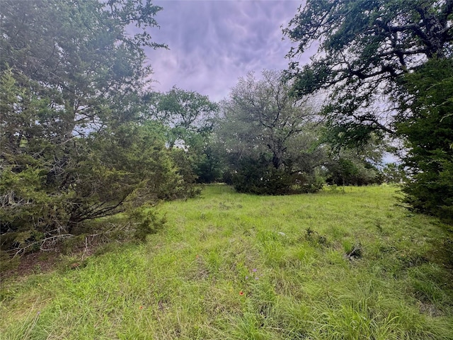 42068 Crooked Stick Dr, Whitney, TX 76692