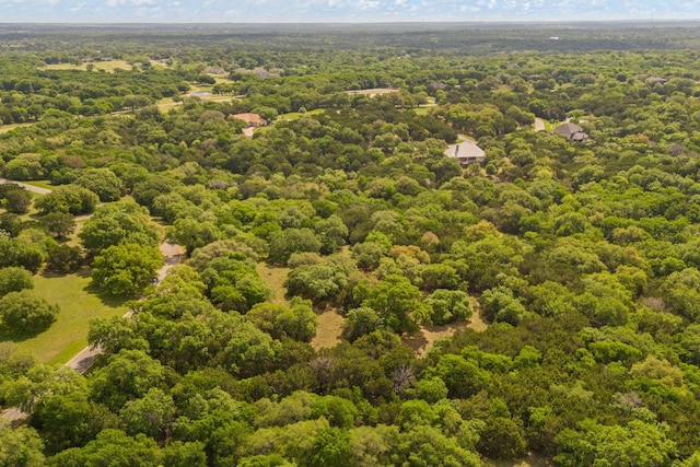 42068 Crooked Stick Dr, Whitney, TX 76692